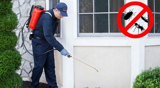 Karaisalı Kemirgen İlaçlama böcek ilaçlama ve haşere kontrolü — ilaclama-tr.com